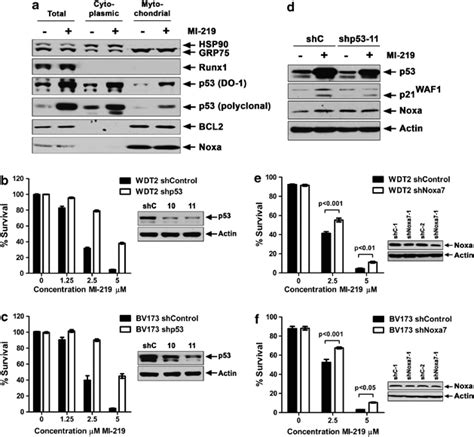 Mitochondrial P53 And Differential Protection From Apoptosis By