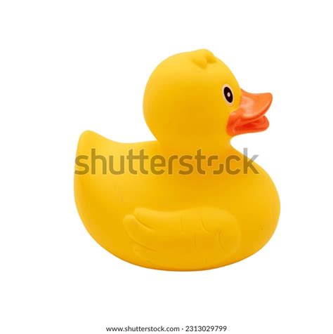 583 Baby Duck Transparent Background Royalty Free Images Stock Photos