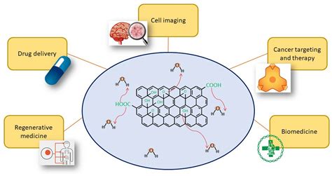 An Overview On The Reproductive Toxicity Of Graphene Derivatives