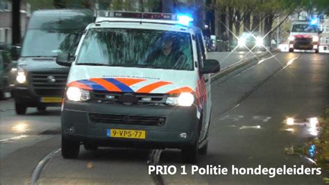 Primeur Prio Hondengeleiders Met Spoed Amsterdam Youtube