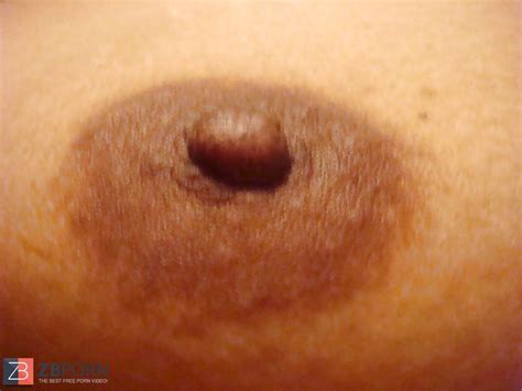 Peitinhos De Esposa ZB Porn
