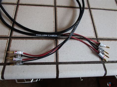 Cullen Cable Copper Series Speaker Cable Double Bi Wired 8 Feet Photo