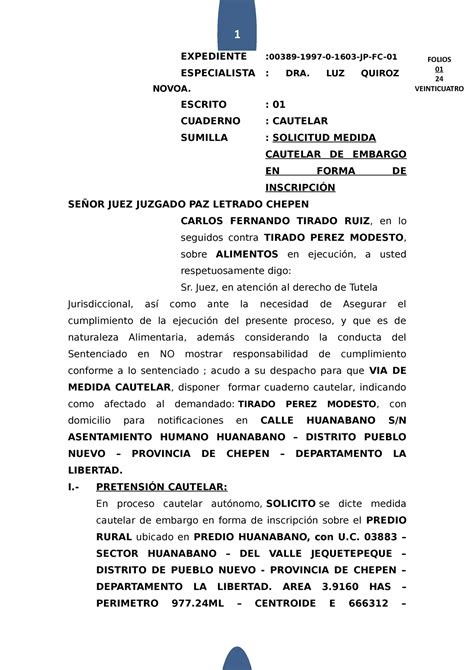 Medida Cautelar Inscripcion Alimentos 2021 Expediente 00389 1997 0