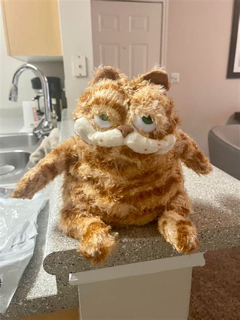 This New Garfield Plush That I Just Purchased For My Dog Rfunny