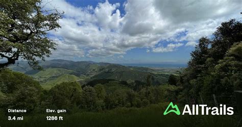 Parata Track Wellington New Zealand 77 Reviews Map Alltrails