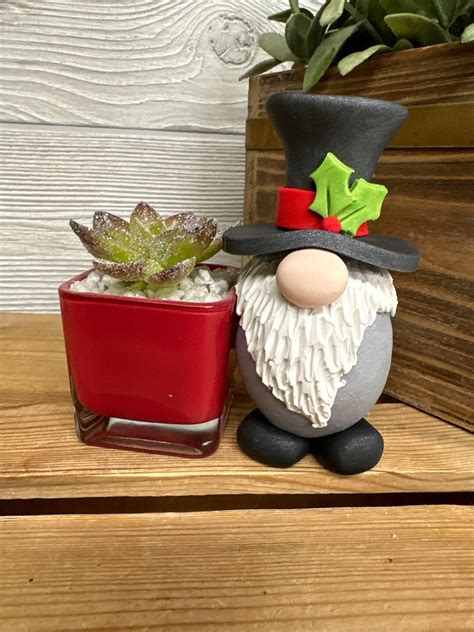 Christmas Gnome With Plant Succulent Gnomes Home Decor Christmas