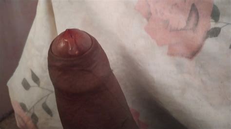 Moreno O Pau Melado Xvideos