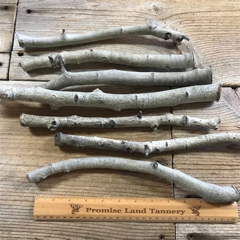 Aspen Bark Etsy