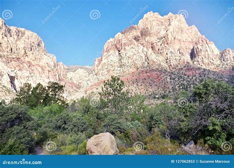 First Creek Trail Red Rock National Conservation Area Nevada Stock