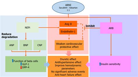 Role Of Angiotensin Receptor Neprilysin Inhibitor In Diabetic Complications