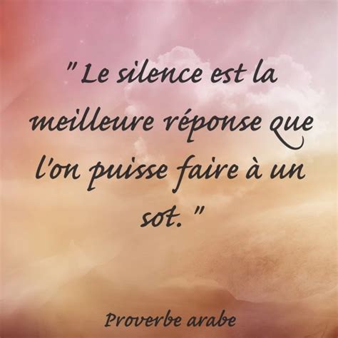 Le silence est la meilleure réponse que l on puisse faire à un sot