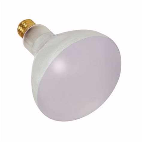 Bulbs N Lighting Satco S Br Fl V Pool Lamp Incandescent