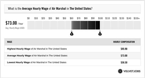 Air Marshal Salary (Actual 2023 | Projected 2024) | VelvetJobs