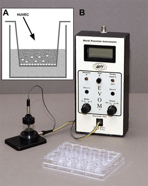 Schematic Of The Measurement Chamber And Evom X Voltohmmeter For Teer