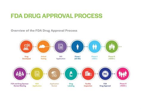 Clinical Research Phases And The Path To Drug Approval Imperial