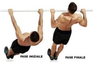 Australian Pull Up Trazioni Orizzontali Tecnica E Muscoli Coinvolti