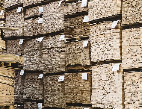 guide  timber veneer