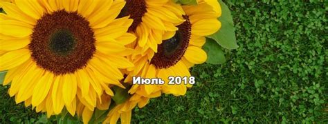Календарь на июль 2018 года. Скачать в формате А4