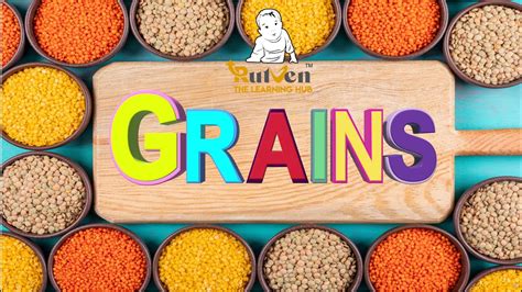 Names Of Grains Grains Names In English With Pictures Grains