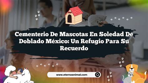 Cementerio De Mascotas En Soledad De Doblado México Un Refugio Para Su