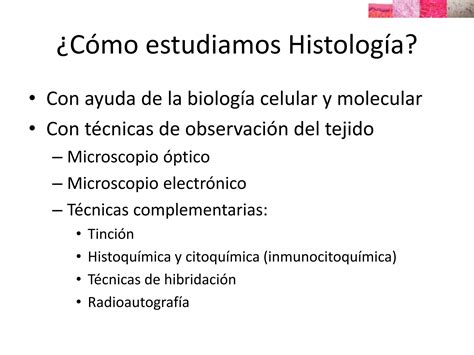 Histolog A Introducci N Histology Introduction Ppt Descarga Gratuita