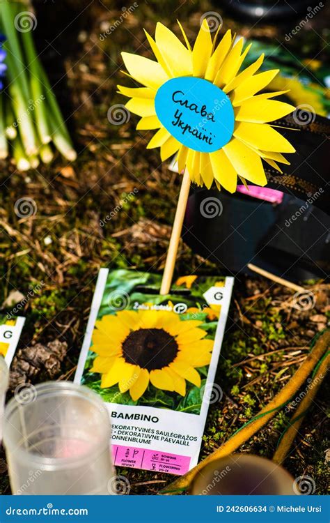 Sunflower Seeds during a Peaceful Demonstration Against War in Ukraine ...