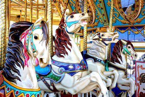 Pretty Horses All In A Row Shutterbug