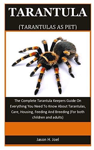 Tarantula As Pet The Complete Tarantula Keepers Guide On Everything