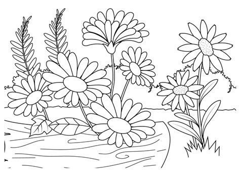 Desenhos De Plantas Para Colorir Pintar E Imprimir Colorironline