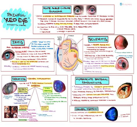 The Red Eye Emergency Medicine Kenya Foundation