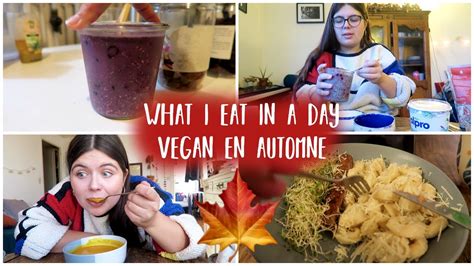 Une Journée Dans Mon Assiette Vegan 🌱 édition Flemme Dautomne 🍁 Youtube