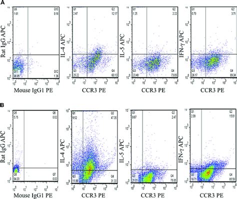 Intracellular Cytokine Staining Of Ccr3 1 Eosinophils In Patients With