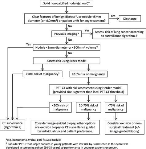 British Thoracic Society Guidelines Initial Approach To Solid Pulmonary