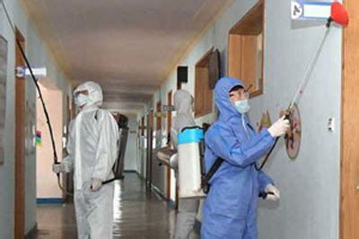 Pest Control Services In Gurgaon Off Service Mantra