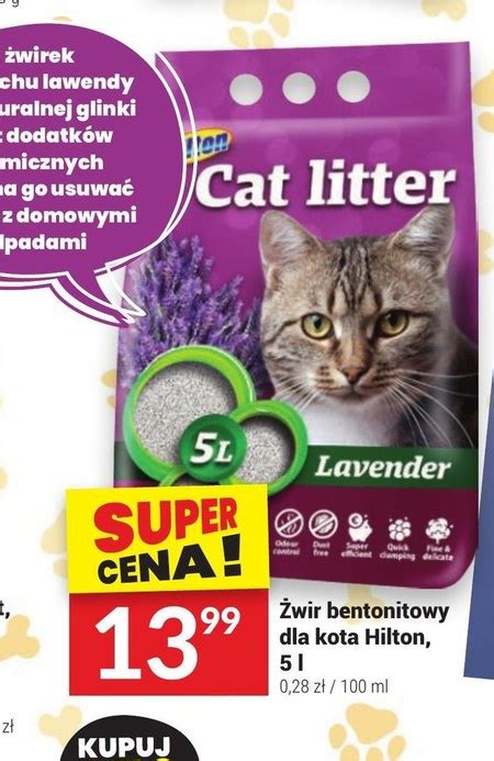 Żwirek bentonitowy Cat Litter promocja Twój Market Ding pl