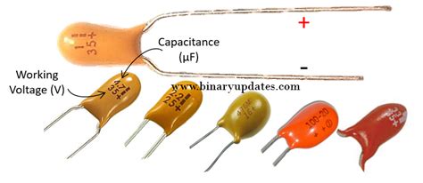 Tantalum Electrolytic Capacitor - BINARYUPDATES