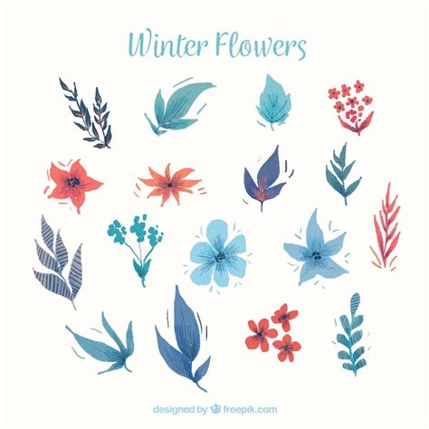 Free Vector Watercolour Winter Flowers In Blue And Red Tones