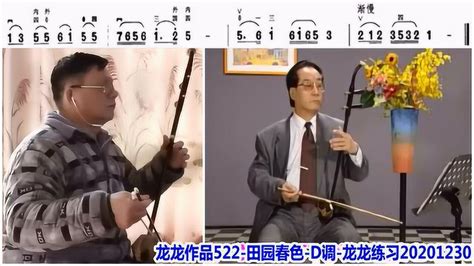 龙龙作品522 田园春色 D调 龙龙练习 刘长福示范和讲解 含二胡等级1级曲谱腾讯视频