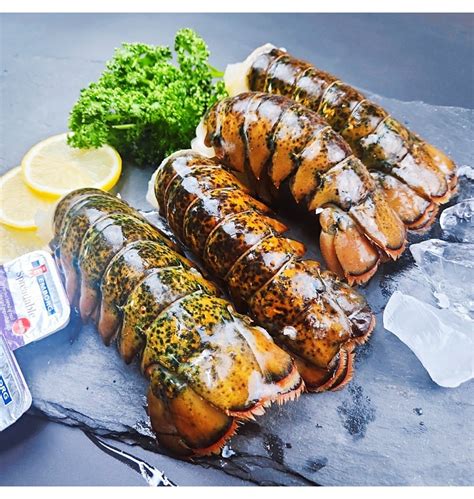 캐나다 랍스터 테일 1kg 바닷가재 랍스타 꼬리 티몬