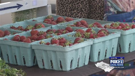 Central Hillside Farmers Market Opens For The Season Fox Online