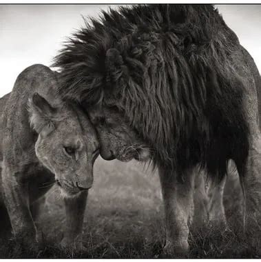 Exclusive F R Italienische Amateur Mutter Xhamster