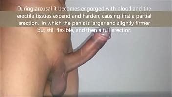 Complete Penis Process Educational YouTube XVIDEOS