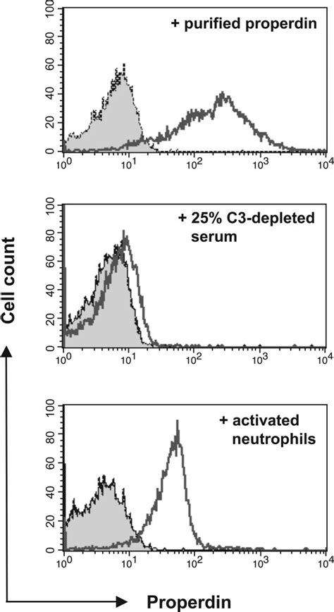 Neutrophil Derived Properdin Binds To Apoptotic T Cells Top Facs