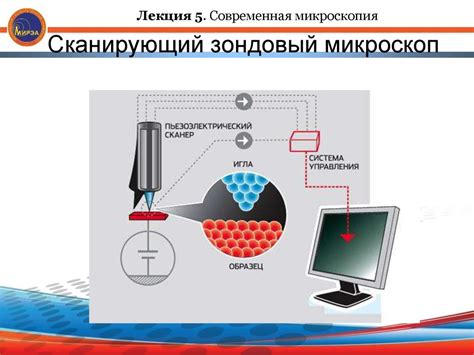 Микроскопия. Микроскопы, их устройство и возможности для изучения ...