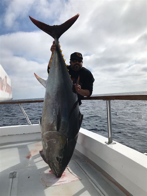 Long Range Fish Report