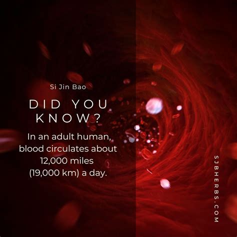 Si Jin Bao On Linkedin Didyouknow Healthtips Sijinbao Bodyfacts