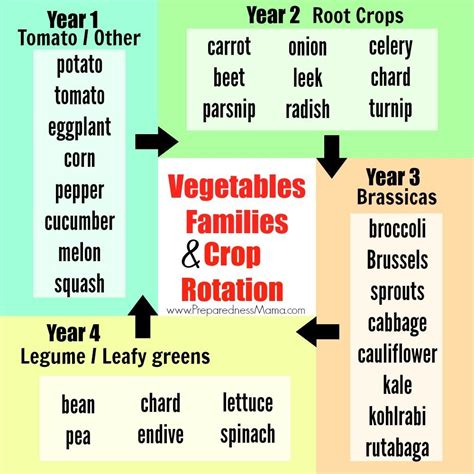 Printable Crop Rotation Chart