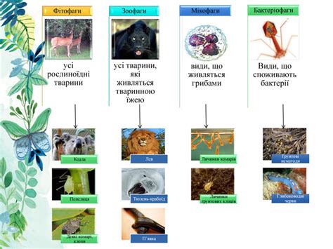 Презентація " Живлення тварин"
