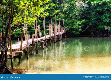 Wooden Bridge In The Jungle Palawan Island Philippines Stock Photo