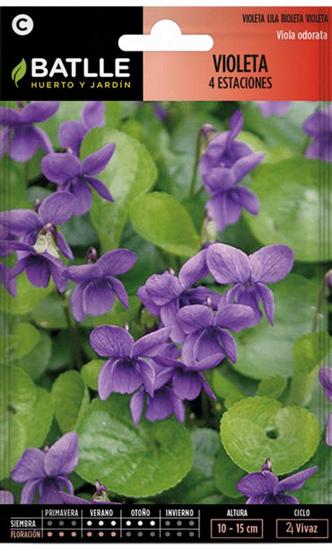 Semillas Violeta 4 Estaciones Viola Odorata Abonos Calsilla